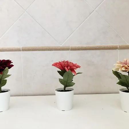 Apartament Zia Rosa